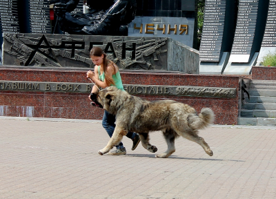 ЦАРСКОГО РОДА АЛЕКСАНДР МАКЕДОНСКИЙ 13 МЕСЯЦЕВ.