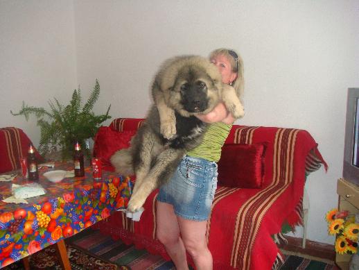 Качена снимка