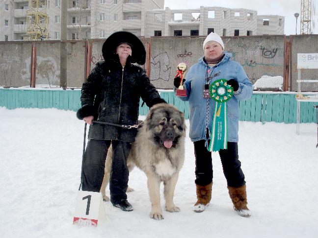 кавказская овчарка, кобель Властелин Русский Риск от Акбек