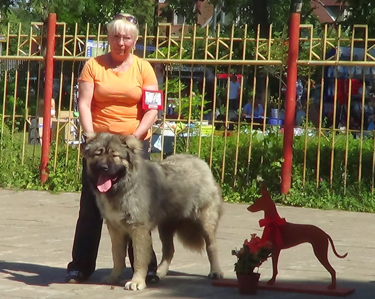 Русский Риск Шакира кавказская овчарка