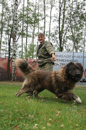 Бай из Александровой Слободы